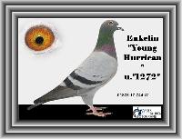 01875-17-744 01875-17-744