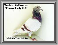 02098-23-1035 02098-23-1035