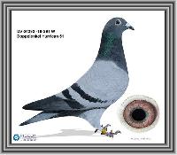 04292-19-291 04292-19-291