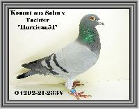 04292-21-233 04292-21-233