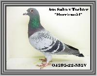 04292-22-332 04292-22-332