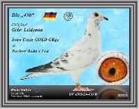 04391-24-430 04391-24-430